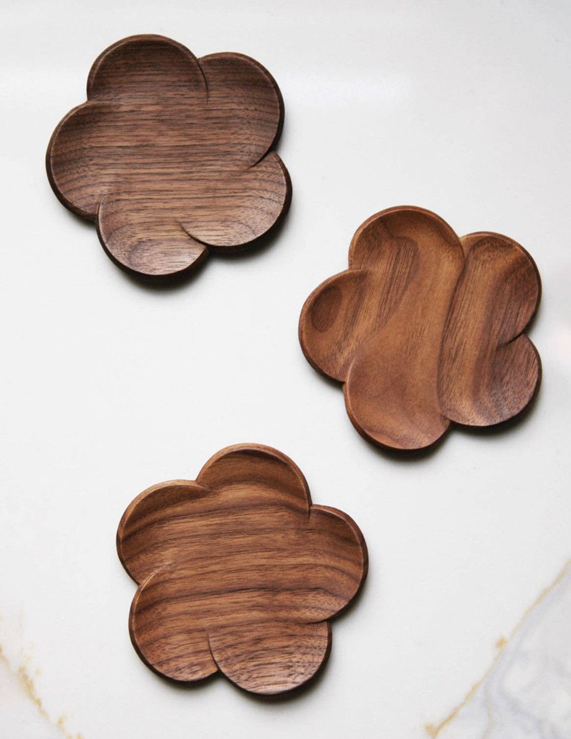 Black Walnut Plum Coaster: Coaster