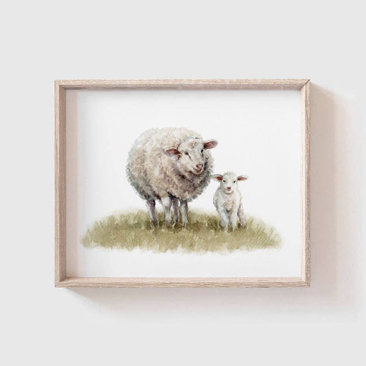 Sheep and Lamb Art Print: Landscape (horizontal) / 5 x 7"