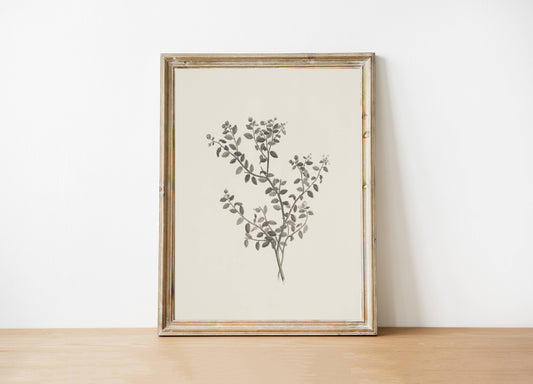 Foliage Art Print: 8x10in