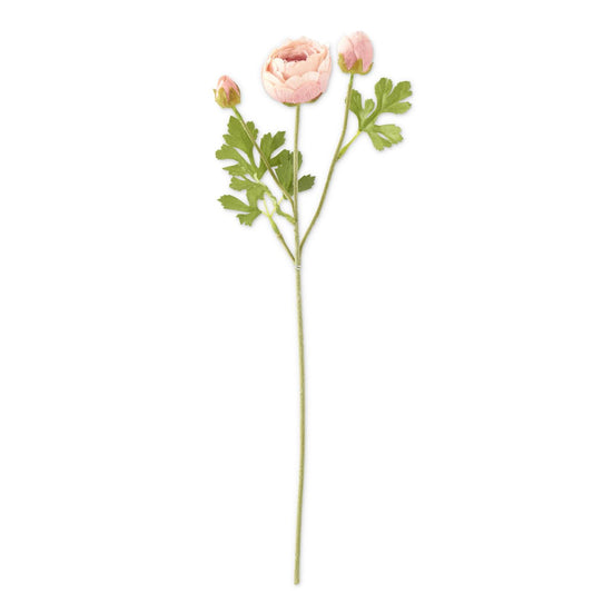 Light Pink Real Touch 3 Head Ranunculus Stem