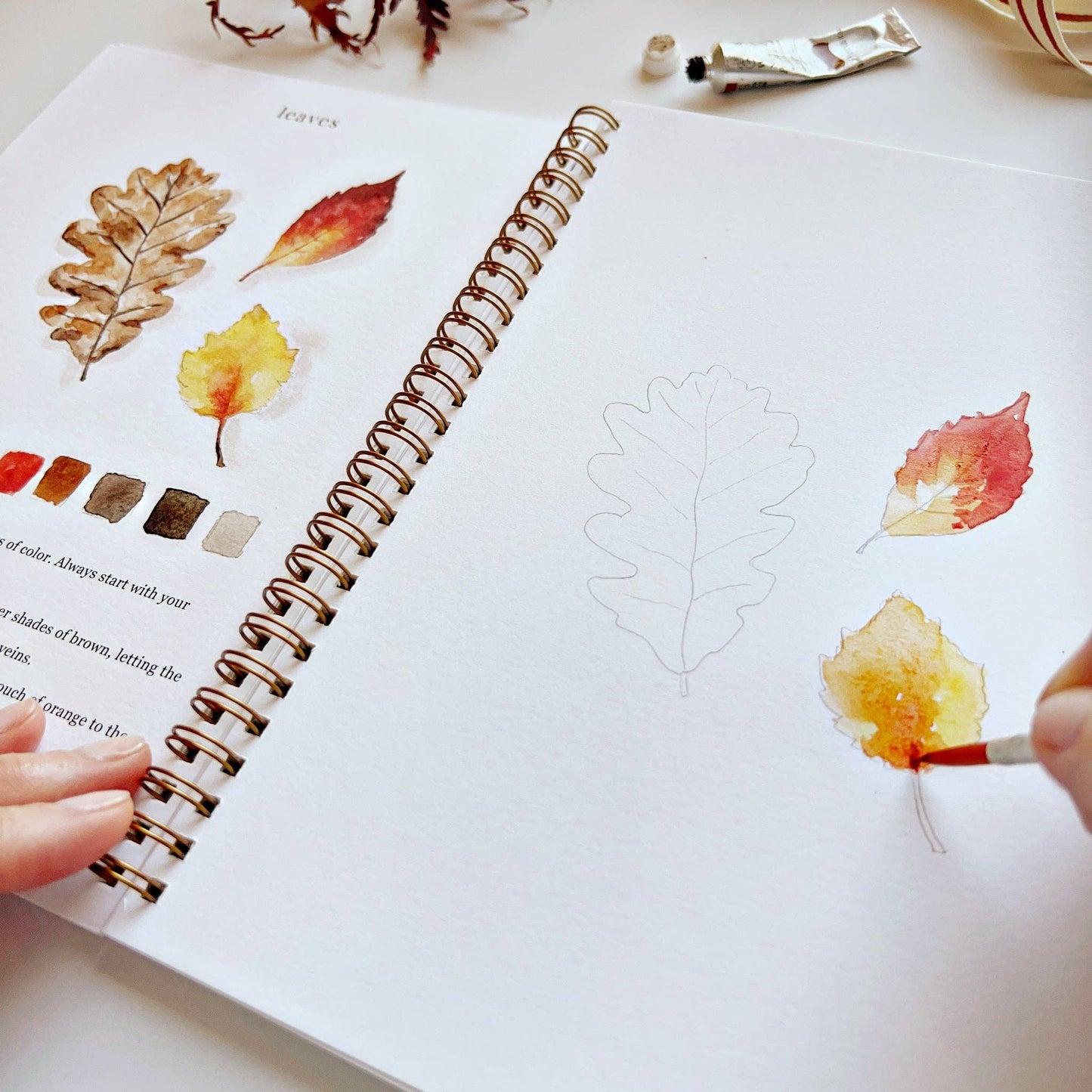 Autumn Fall Watercolor Workbook