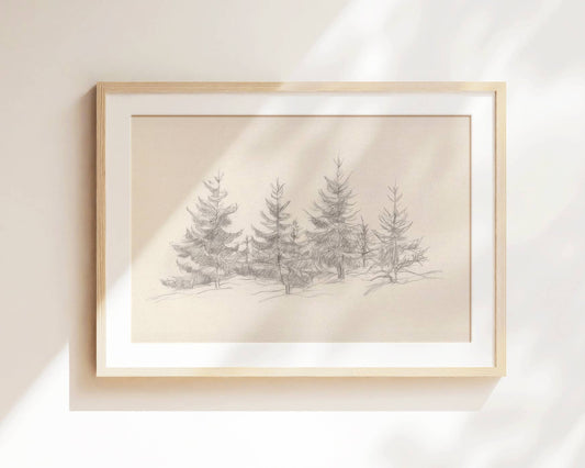 Cedars of Christmas- Print: Print (unframed) / 5x7