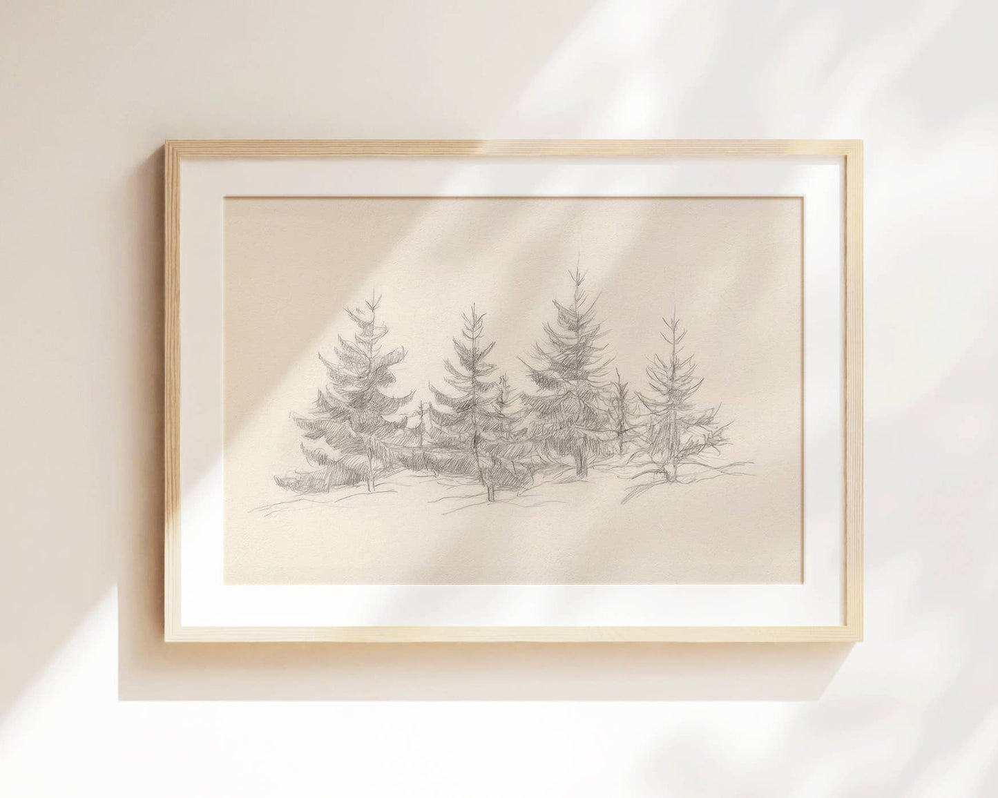 Cedars of Christmas- Print: Print (unframed) / 11x14