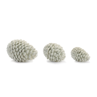 PINE CONE