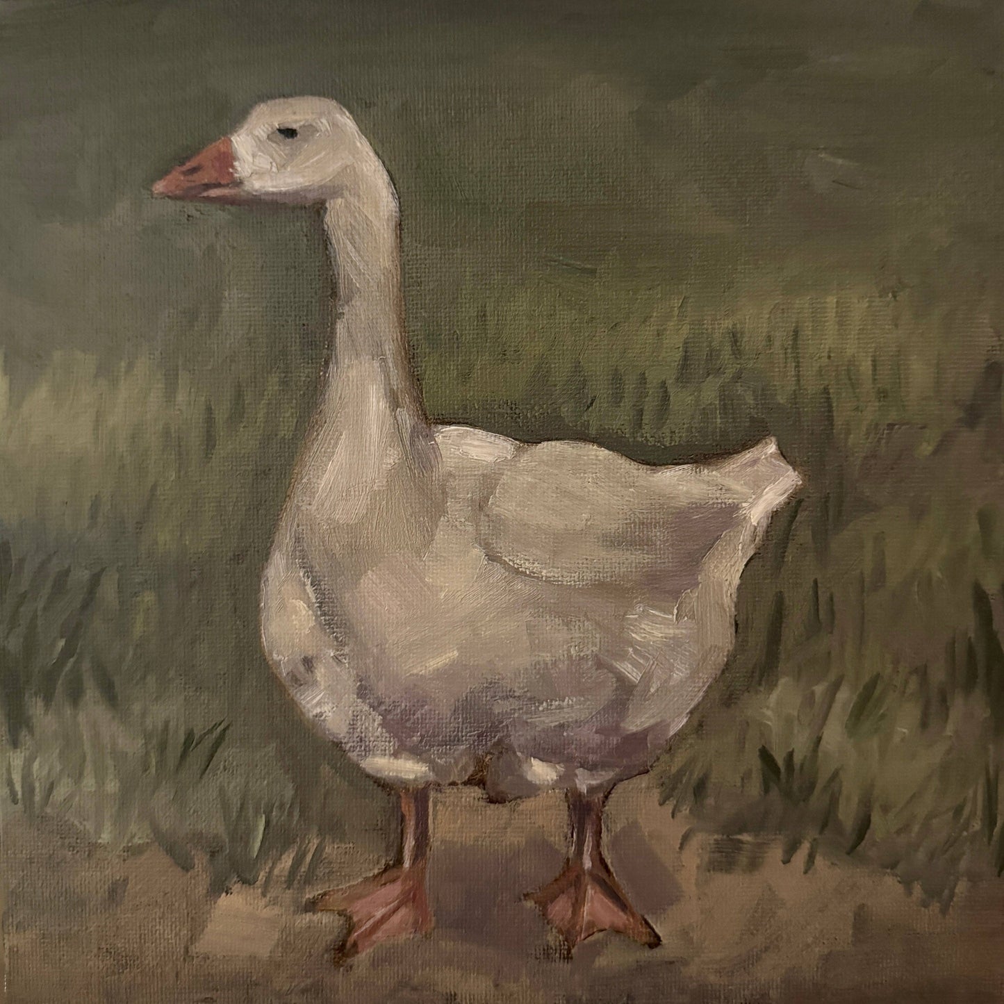 "Mr.Goose" Print: 5x5 Print