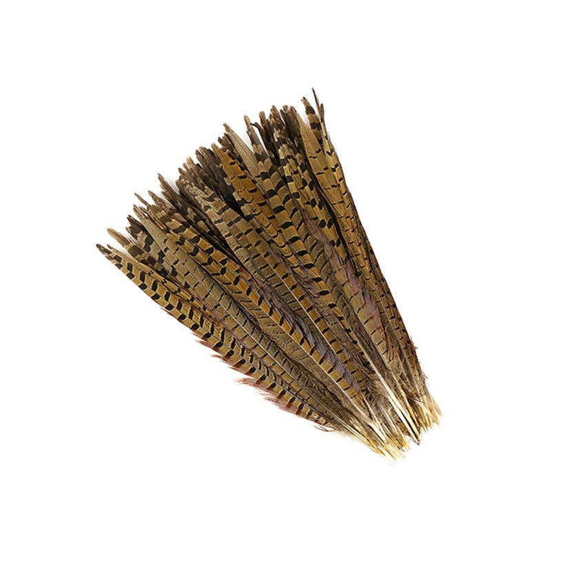 Ringneck Pheasant Tails 12-16" - Natural