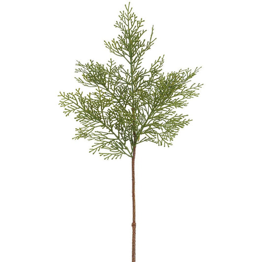 Cedar Spray Stem