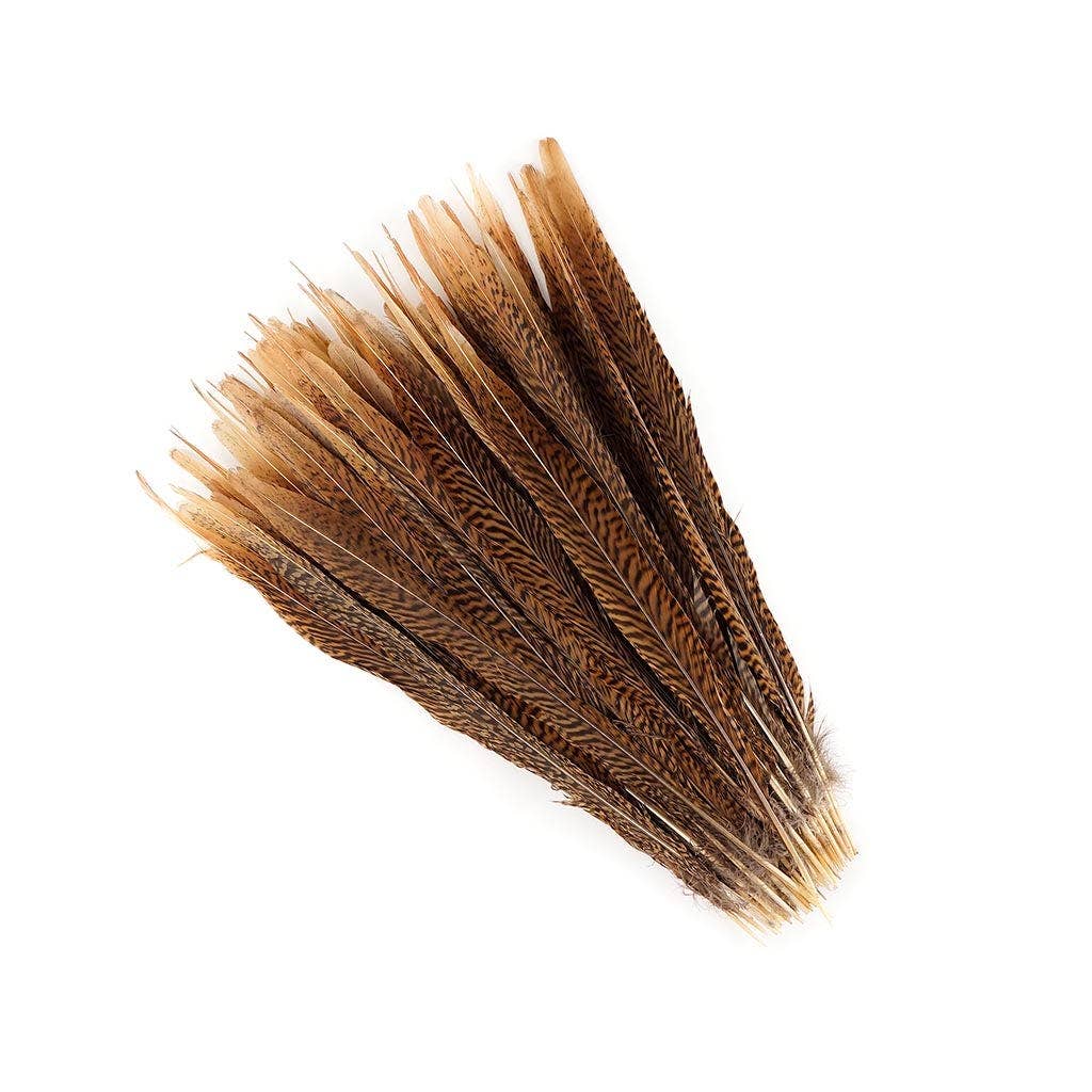 Golden Pheasant Tails 14-16" - Natural