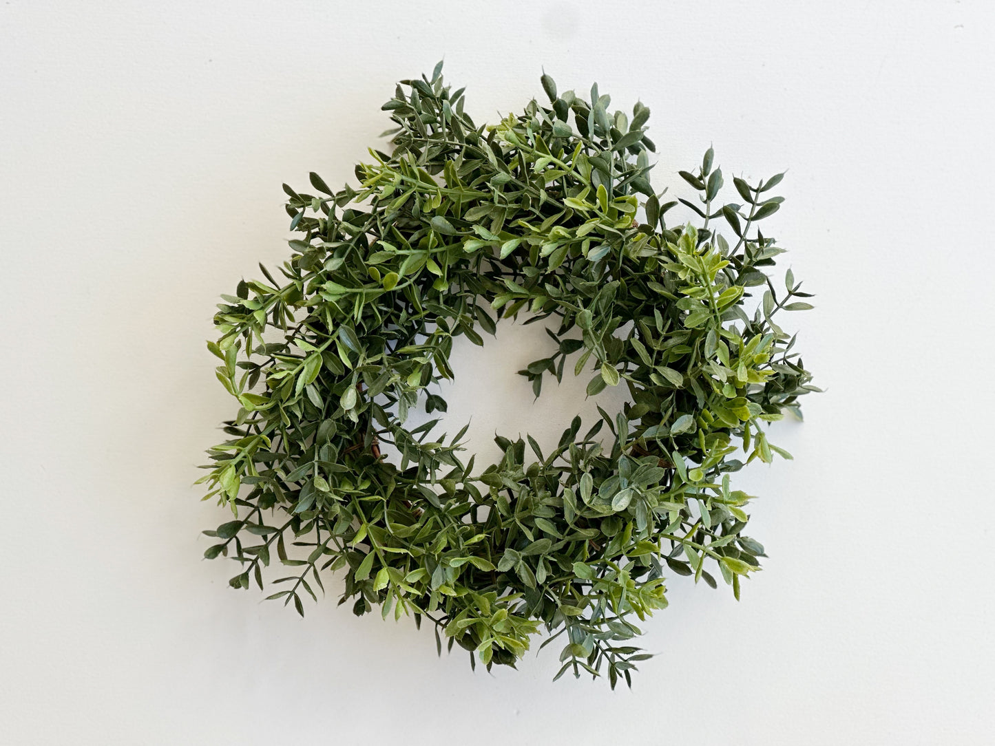 New England Boxwood Candle Ring/Wreath 10"