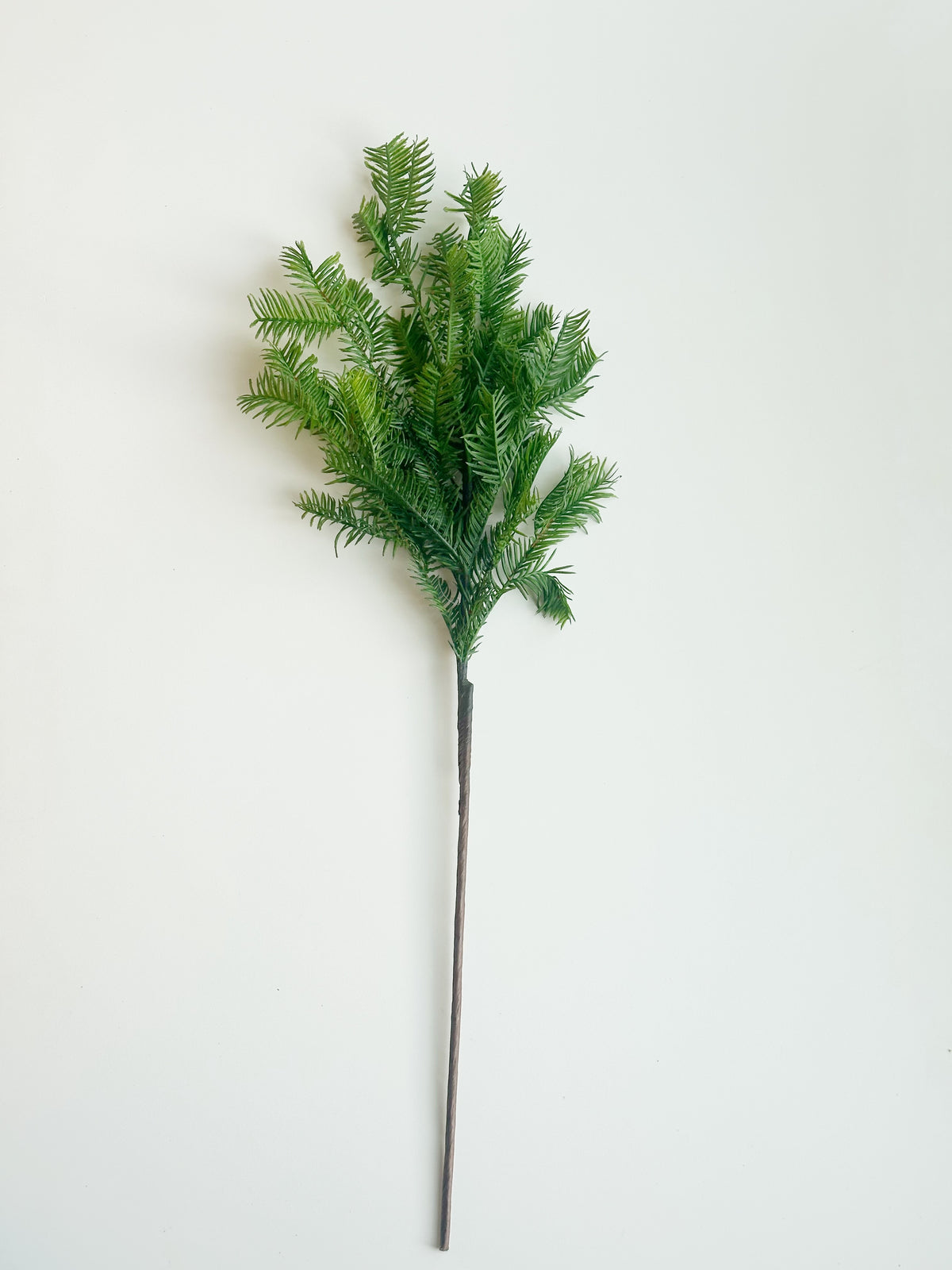PINE SPRAY STEM