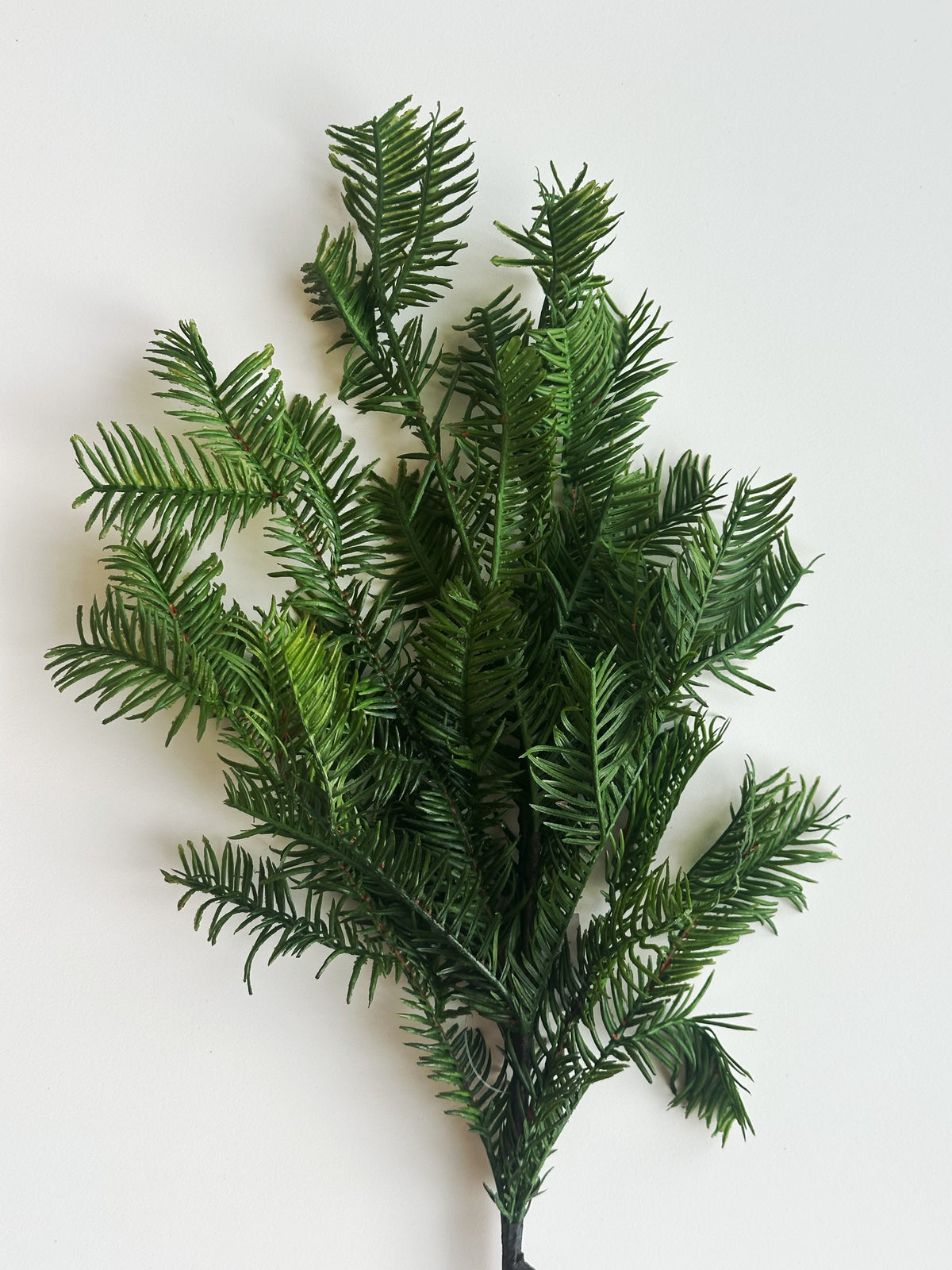 PINE SPRAY STEM