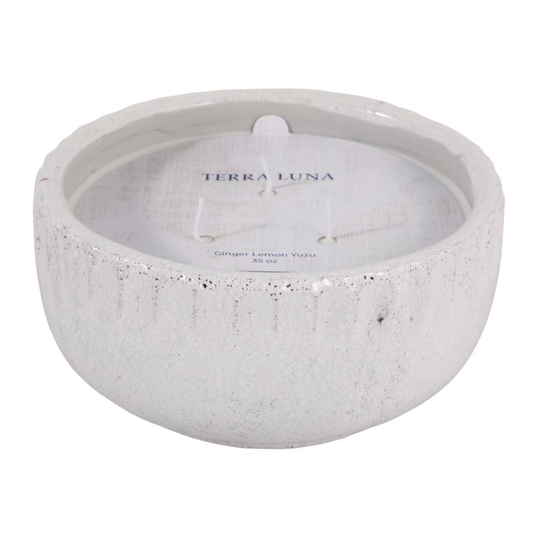 Candle - Lemon Ginger Scented White Ceramic Wax, 35 Oz