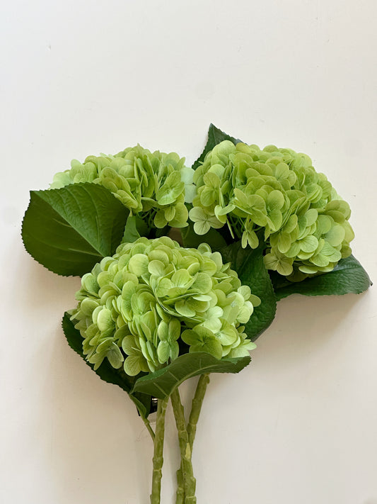 20 INCH GREEN REAL TOUCH HYDRANGEA STEM