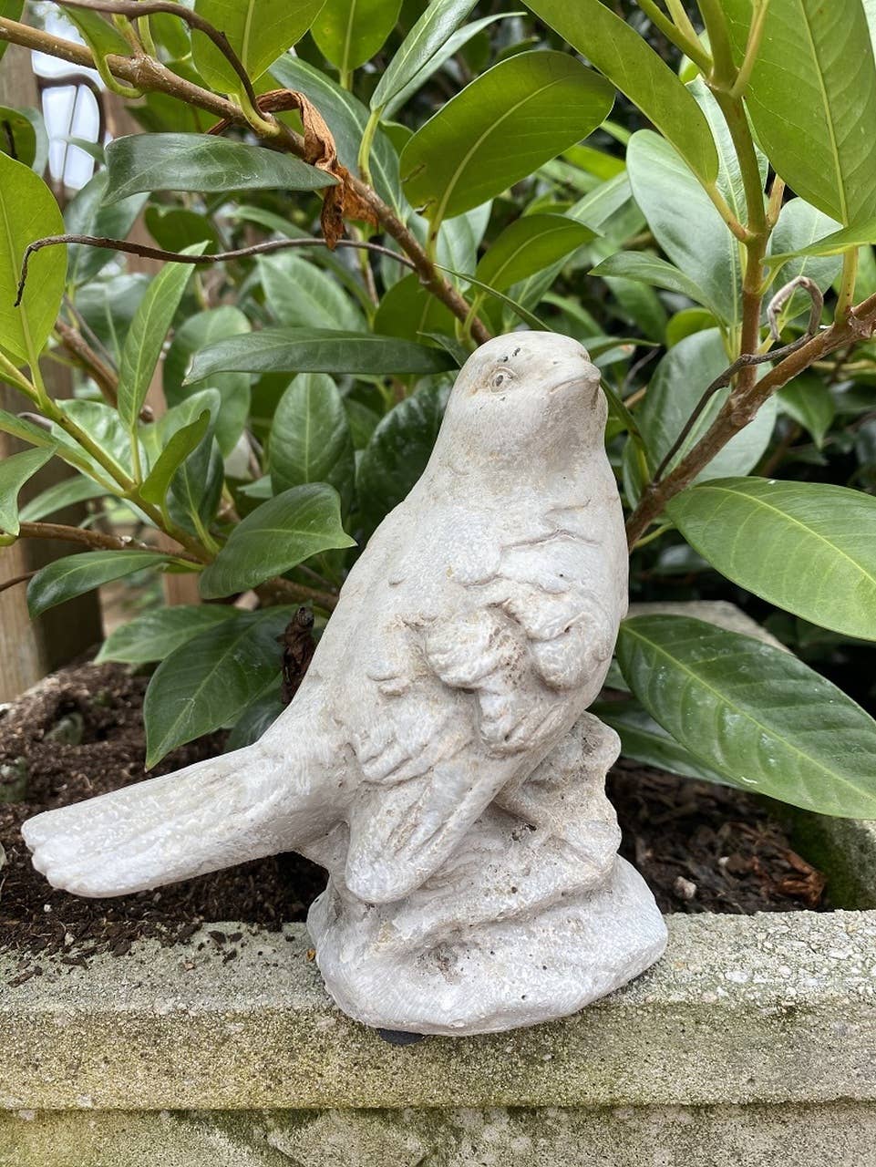 Tall Cement Bird Statue