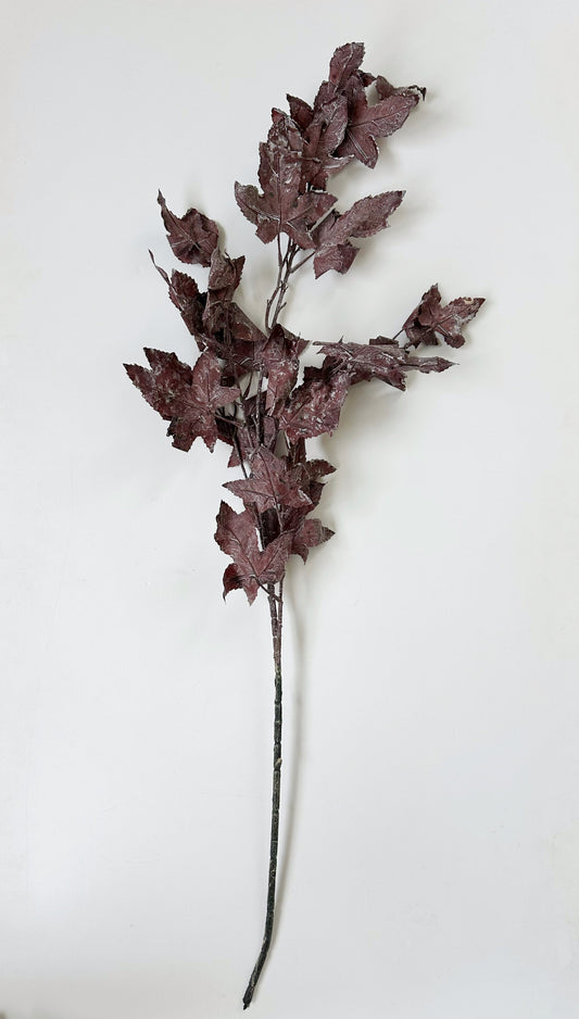 Burgundy Maple Leaf Stem