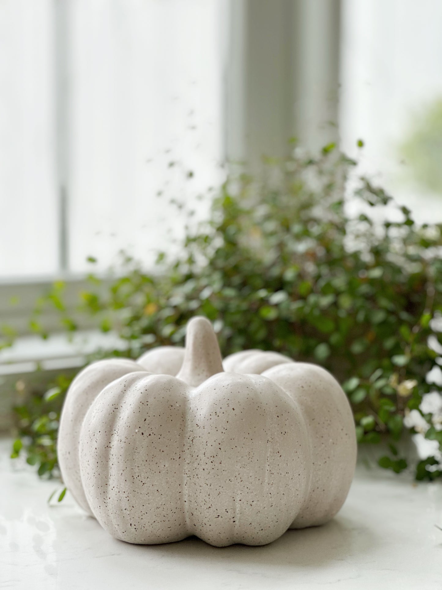 Large Stoneware Pumpkin, Reactive Glaze, Cream Color Speckled (Each One Will Vary)