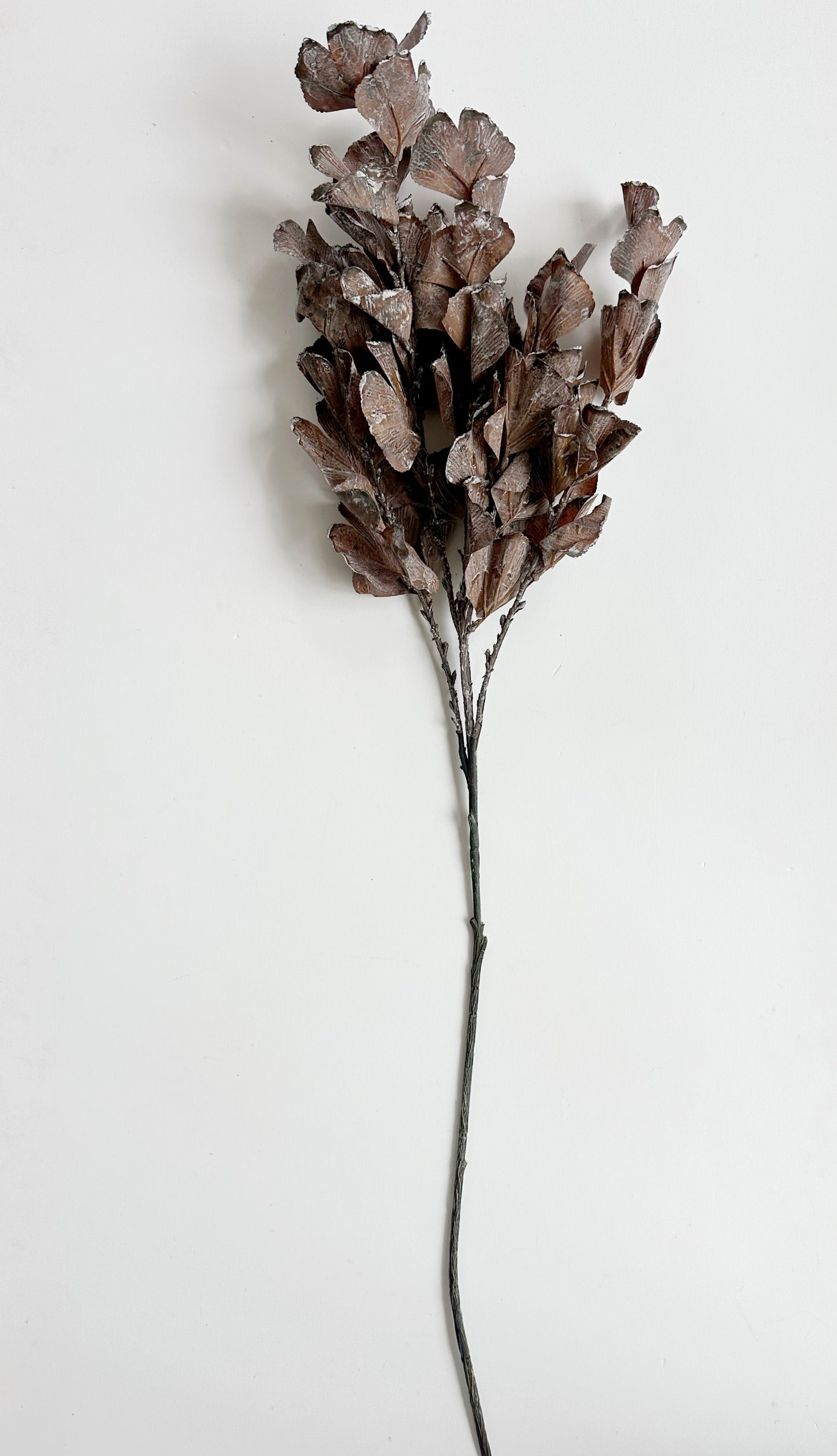 Brown Autumn Leaves Branch