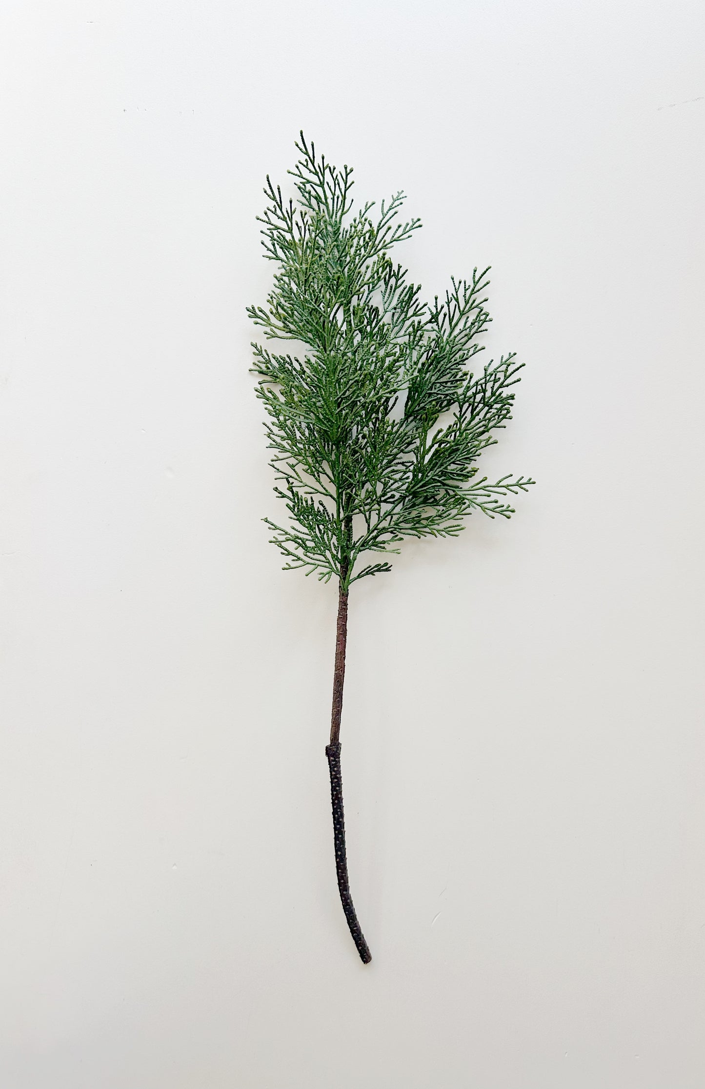 Cedar Spray Stem