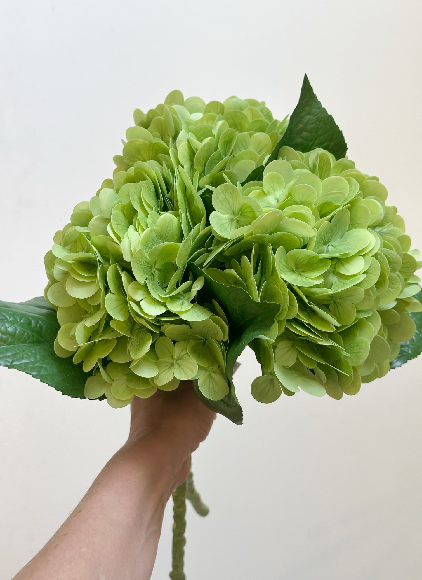 20 INCH GREEN REAL TOUCH HYDRANGEA STEM