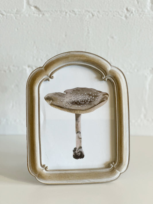 5x7 Vintage Style Arched Frame