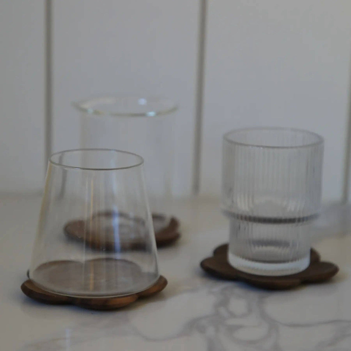 Black Walnut Plum Coaster: Coaster