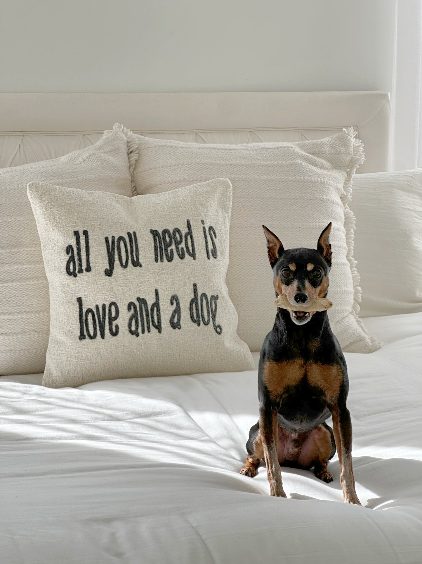 All you need is Love and a Dog Pillow