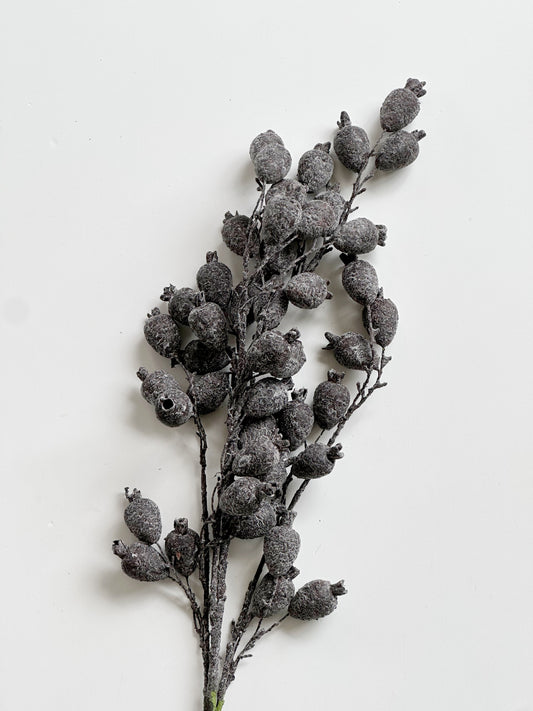 Dried Pod Branch, Dark Purple