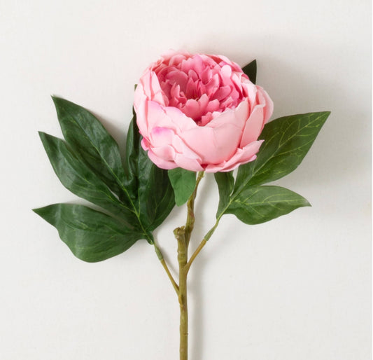 FRESHCUT® PINK PEONY STEM