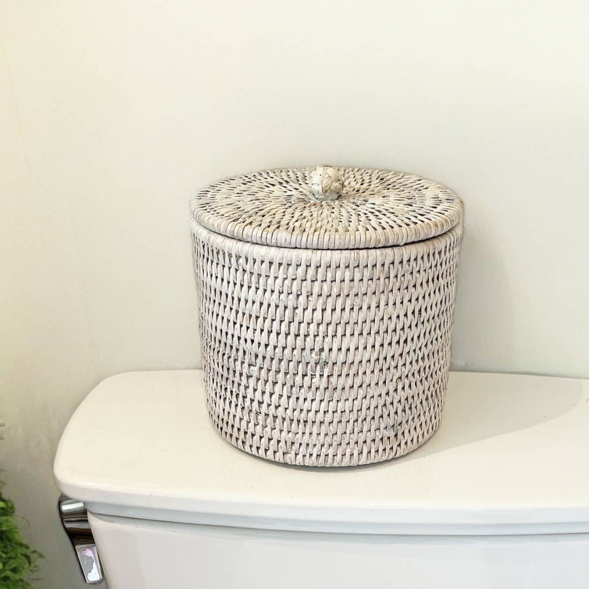 Toilet Paper Holder (Single Roll) with Lid  : Natural Matte