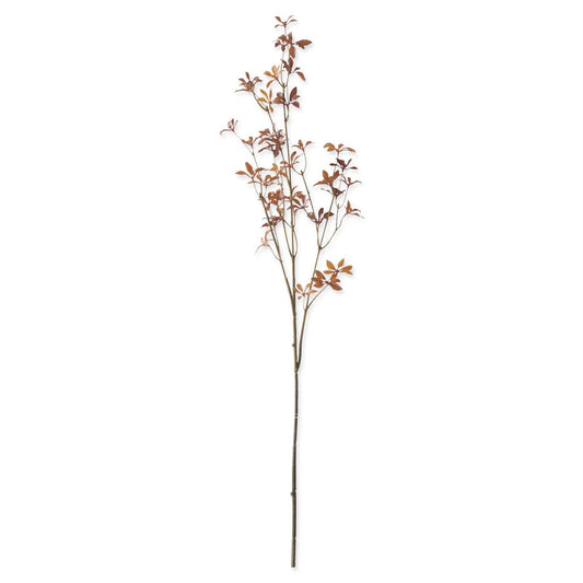 LUDWIGIA FALL LEAF STEM