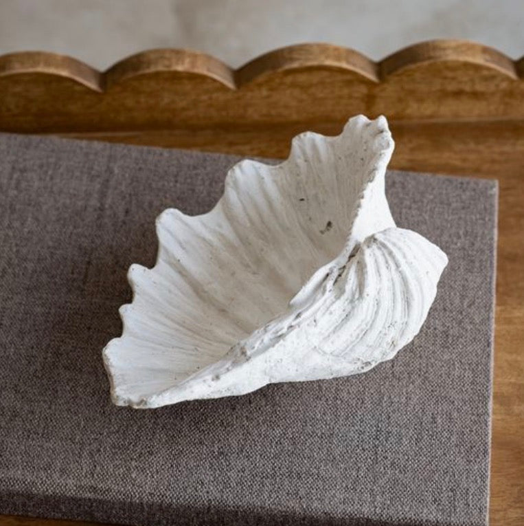 WHITE WEATHERED CLAM SHELL