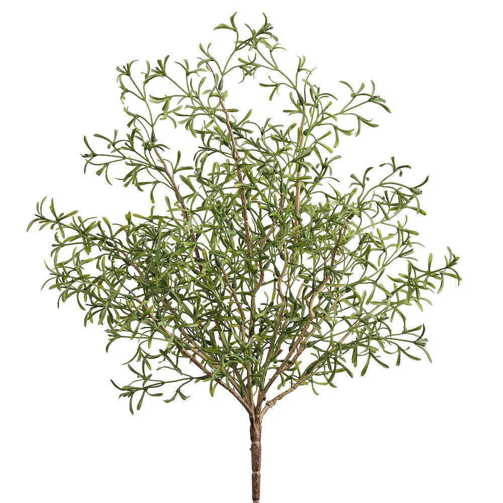 Crystalwort Bush - Green