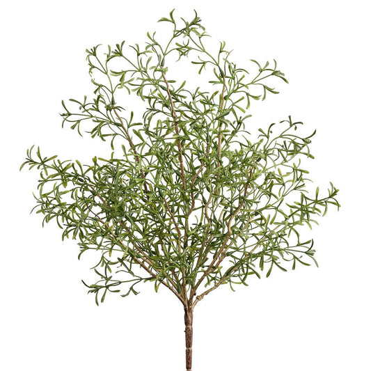 Crystalwort Bush - Green