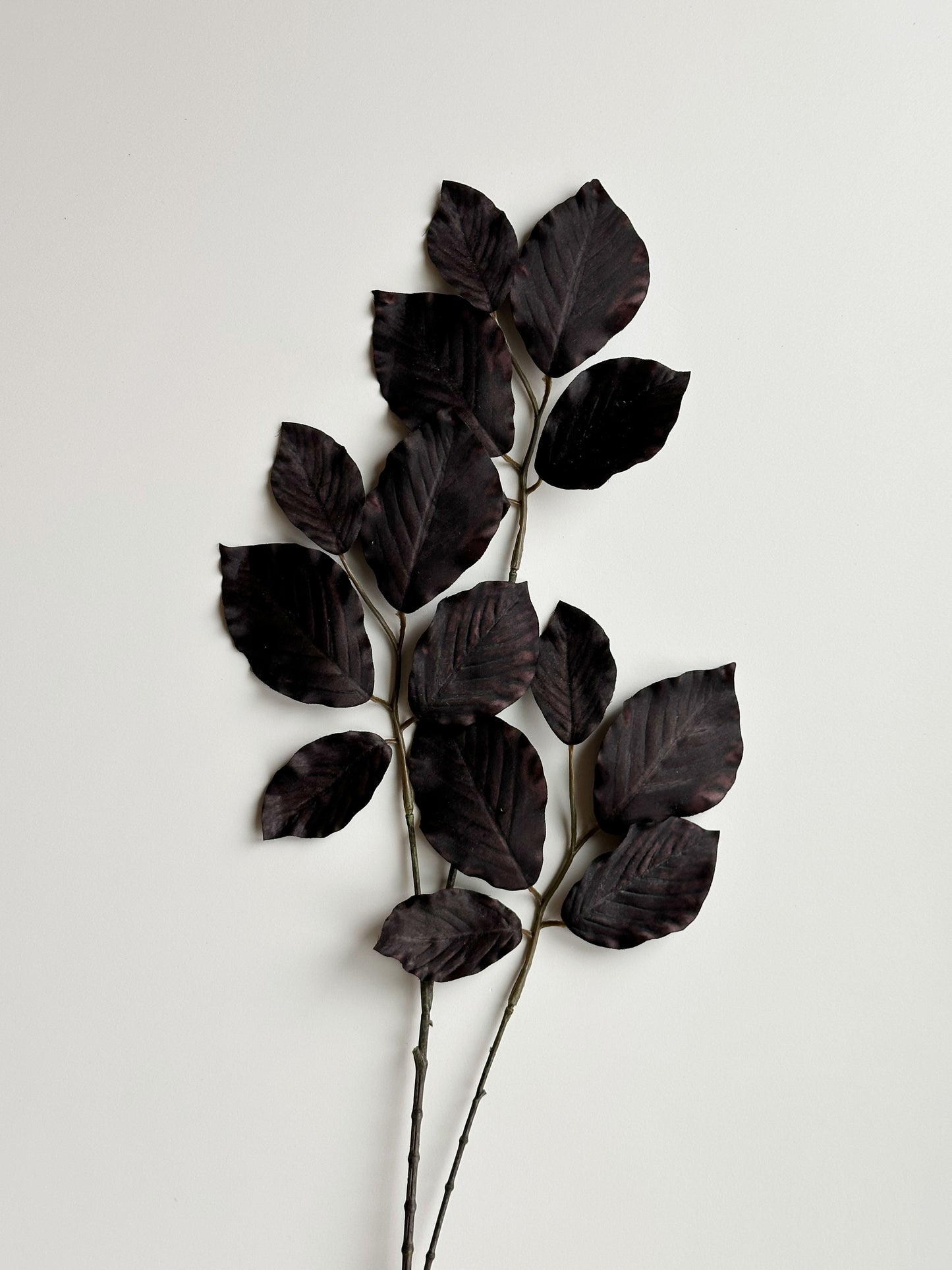 Dark Beech Leaf Spray