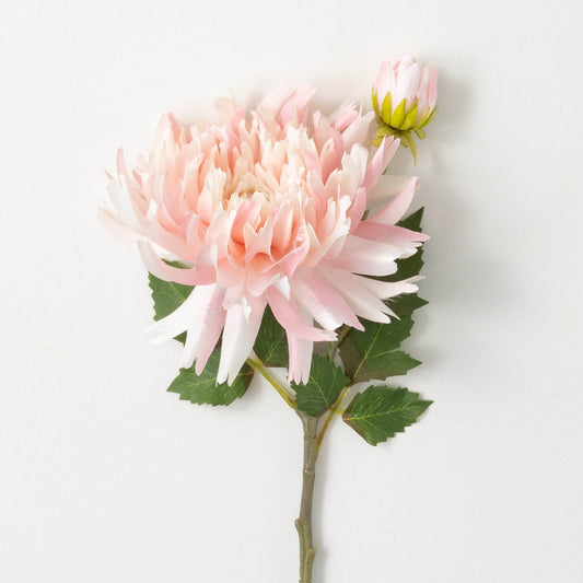 PALE PINK DAHLIA SPRAY STEM