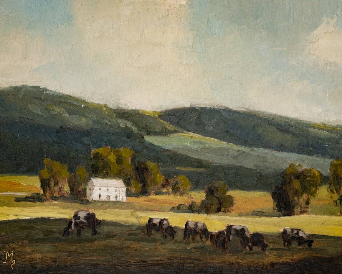 Cows In Shadow Print: 5x7