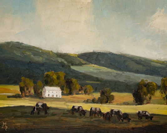 Cows In Shadow Print: 5x7