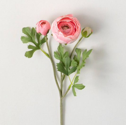 RANUNCULUS SPRAY - Coral Pink