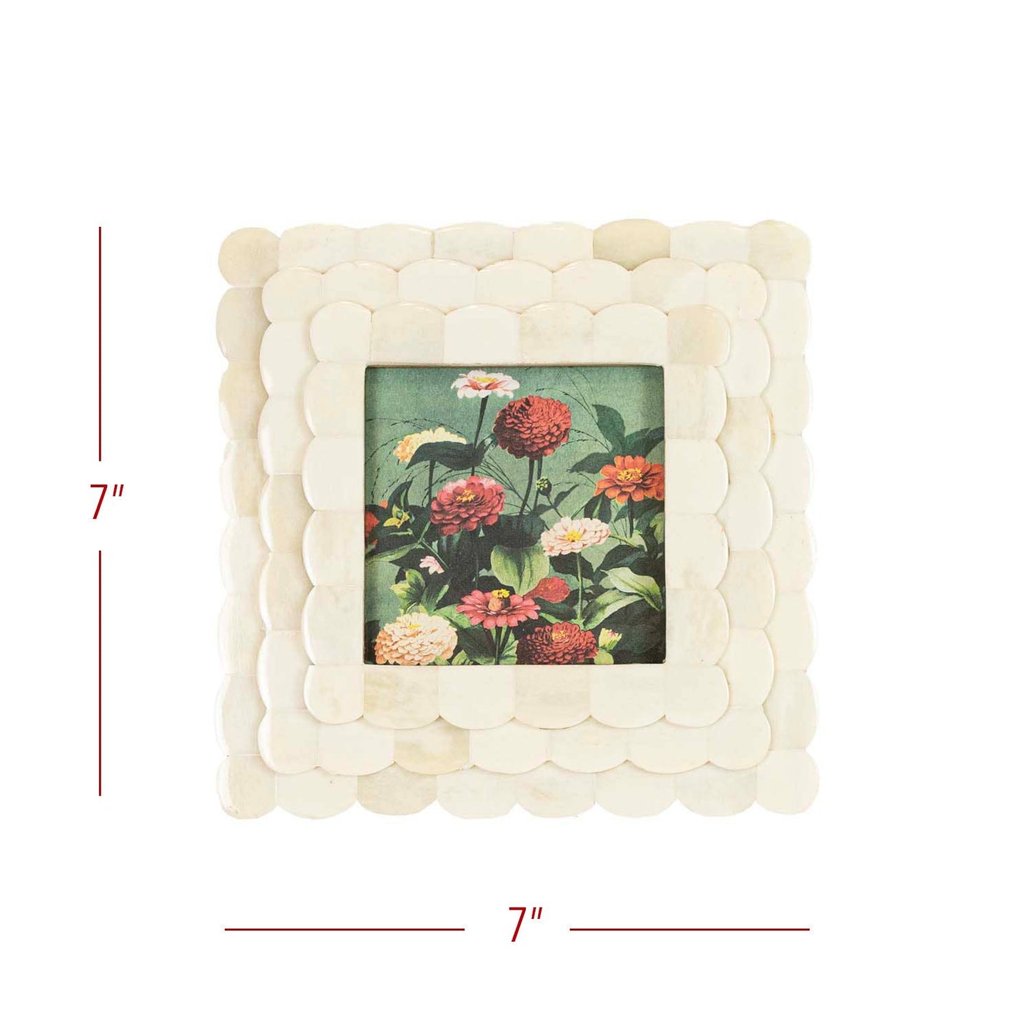 Emery 4x4 Photo Scallop Picture Frame White Bone