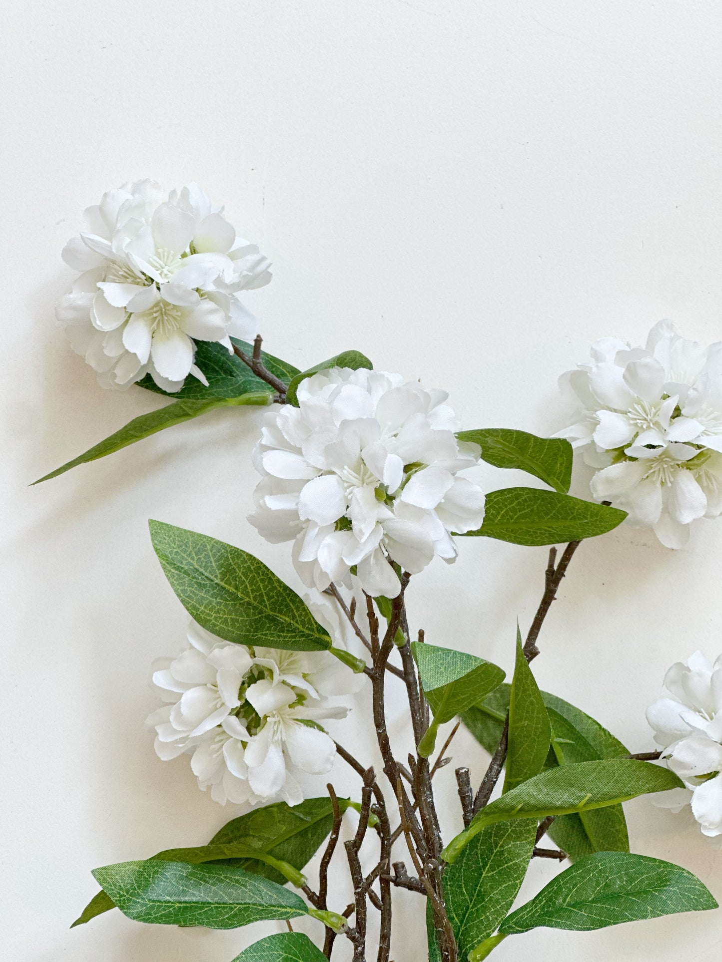 White Kerria Spray