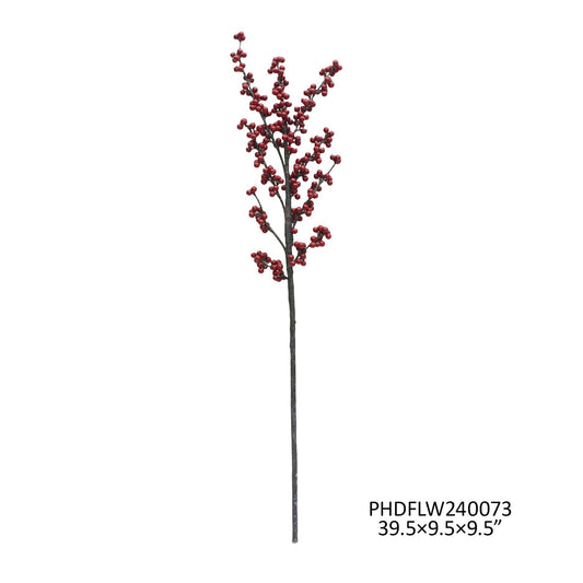 Berry Branch