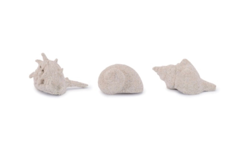 SAND SHELL (3 ASST)