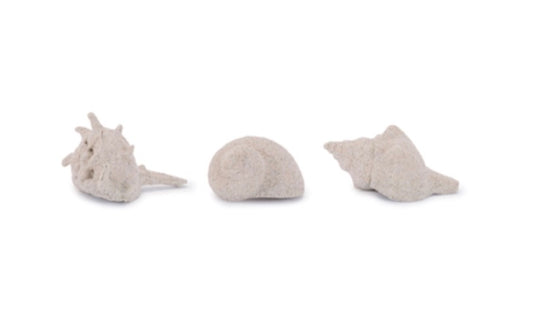 SAND SHELL (3 ASST)