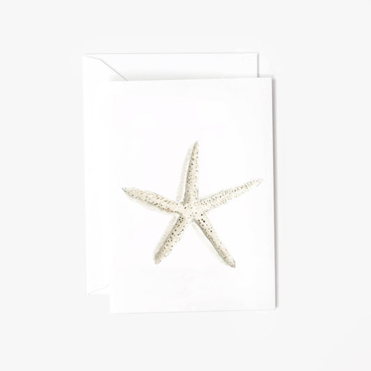 Starfish mini notecard