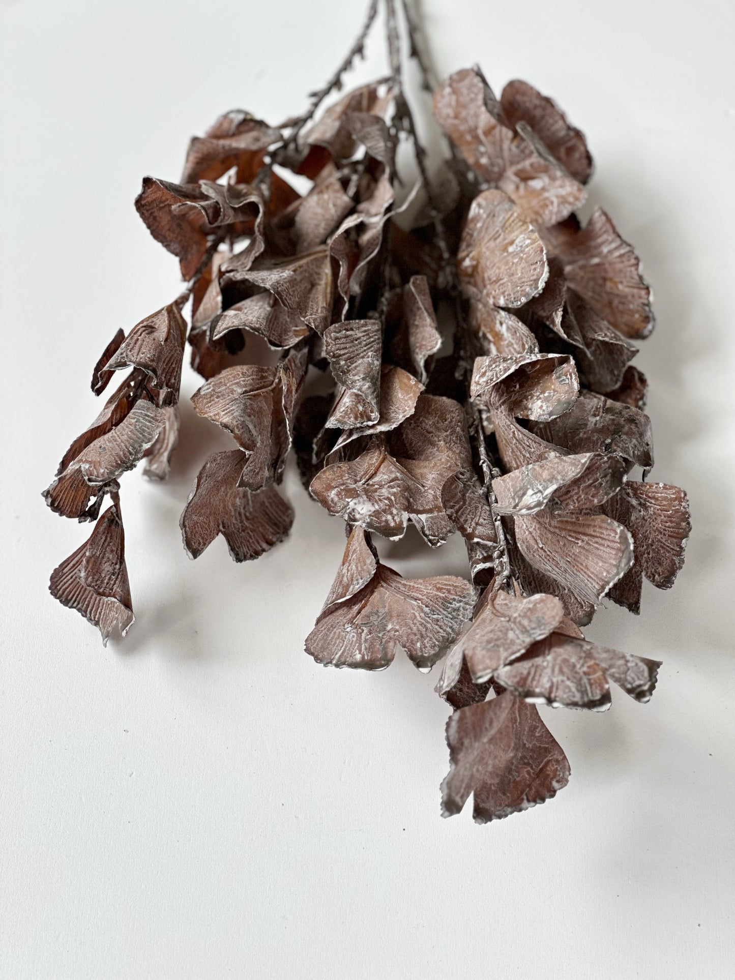 Brown Autumn Leaves Branch