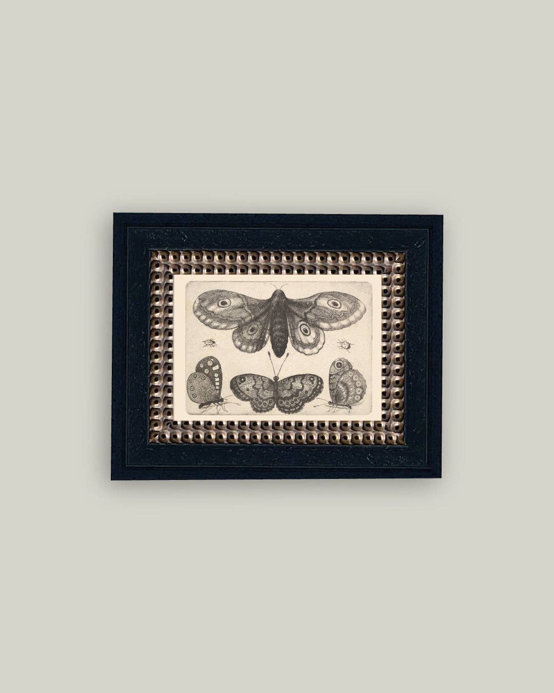 Various Insects Framed Antique Art: 7x5