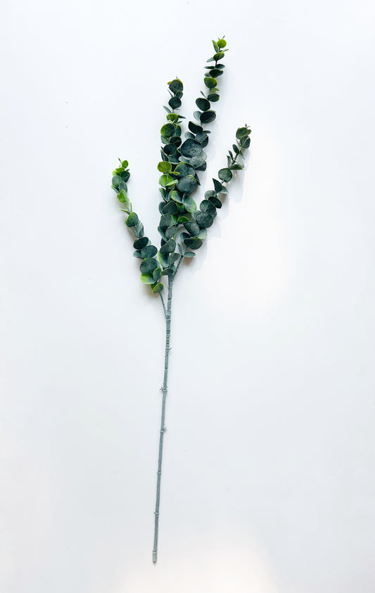 EUCALYPTUS SPRAY