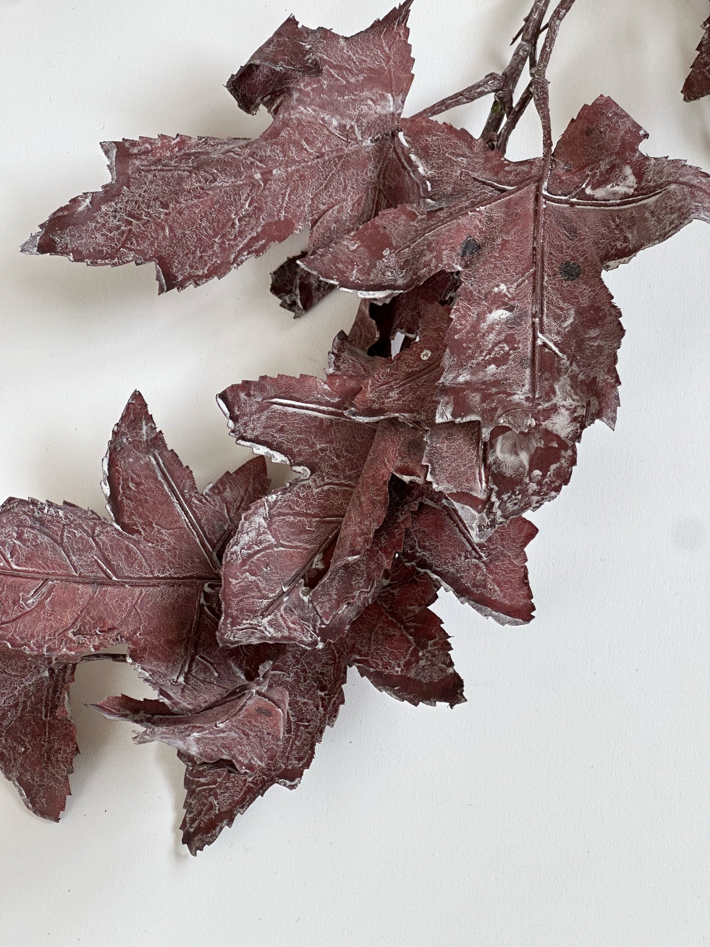 Burgundy Maple Leaf Stem