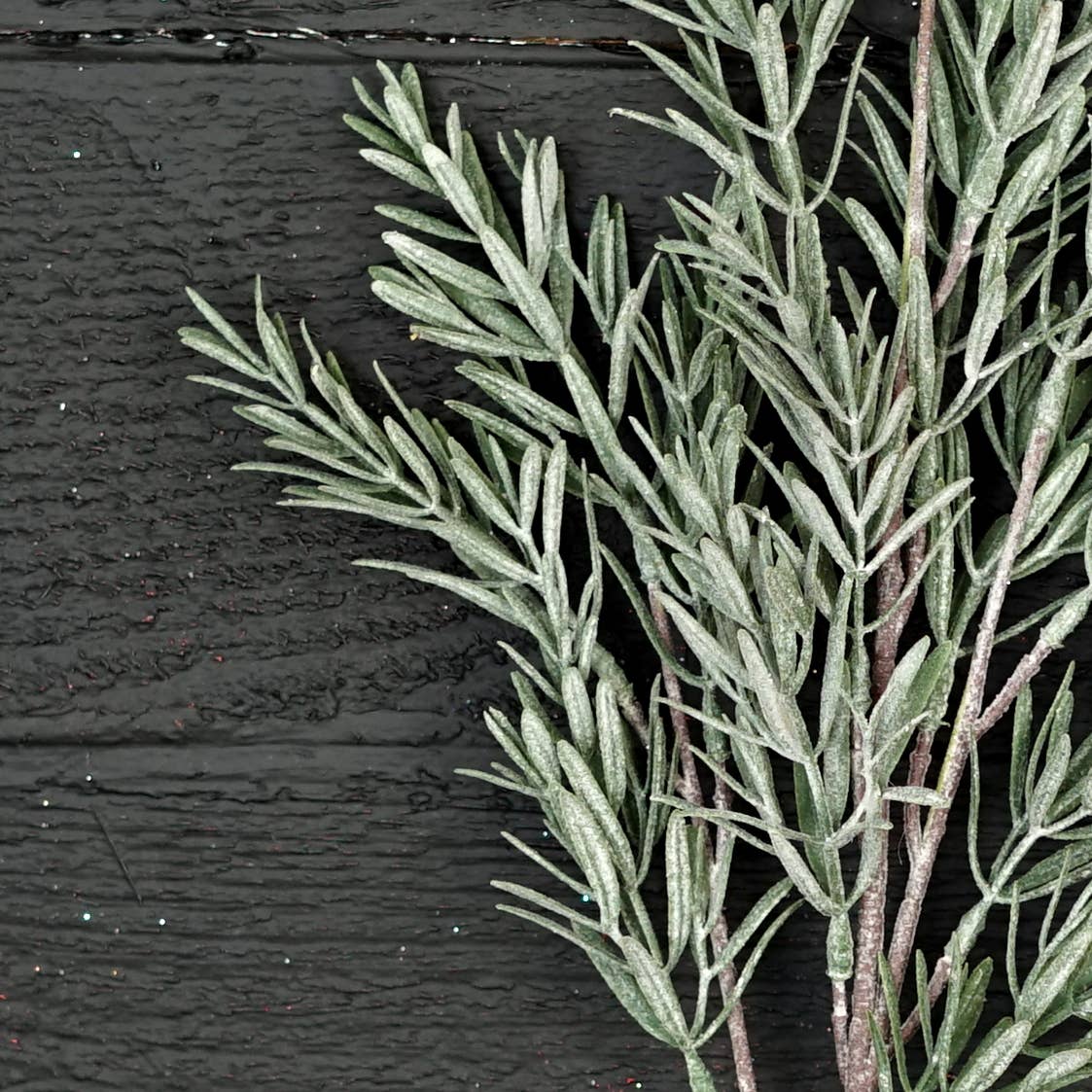 24in Spray-Frosted Rosemary pine spray