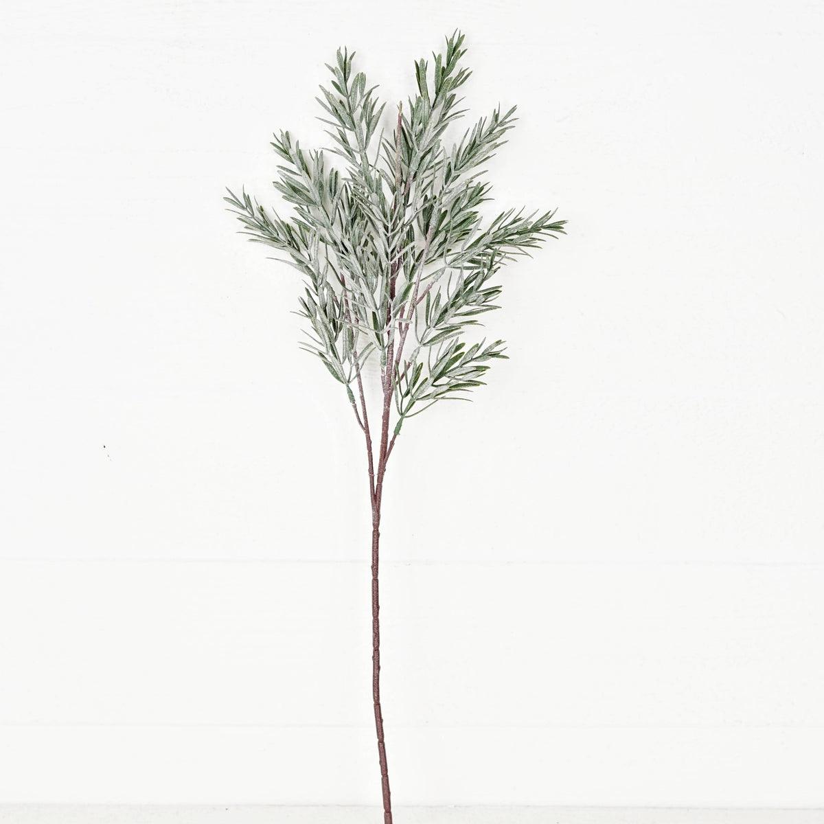24in Spray-Frosted Rosemary pine spray